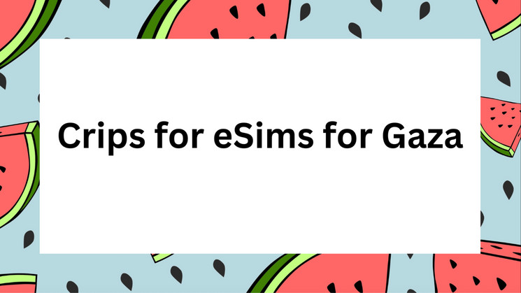 Illustration with a light blue background featuring pieces of watermelon cut into triangular shapes and watermelon seeds.In the center against a white square background text reads, Crips for eSims for Gaza.