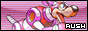 Static banner of Rush from Mega Man with the text 'Rush' in the corner